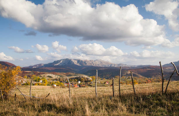 South west Serbian mountain Zlatibor. An afternoon landscape