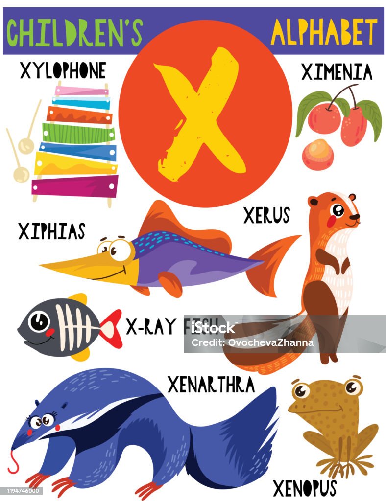 Letter X Cute Childrens Alphabet With Adorable Animals And Other Thingsposter For Kids Learning English Vocabulary Cartoon Vector Illustration Stock Illustration - Download Image Now - iStock Letter X Cute Childrens Alphabet With Adorable Animals And Other Thingsposter For Kids Learning English Vocabulary Cartoon Vector Illustration Stock Illustration - Download Image Now - iStock