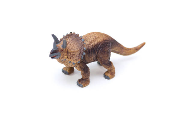 Dinosaur triceratop toy on the white background.
