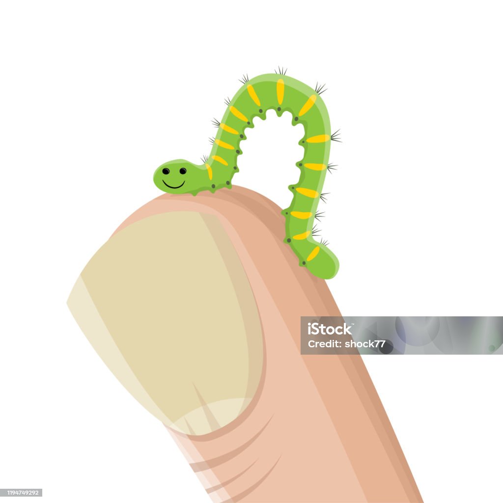 Minh Họa Hoạt Hình Hài Hước Của Một Con Sâu Bướm Bò Trên Một Ngón ...