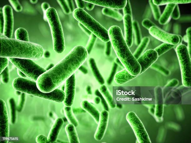 Photo libre de droit de Bactérie banque d'images et plus d'images libres de droit de Bactérie - Bactérie, Couleur verte, Biologie