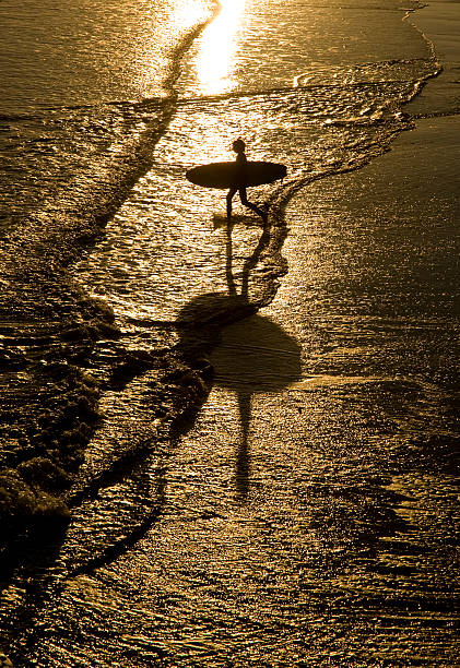 istock surfer walking into the sea. 119475885