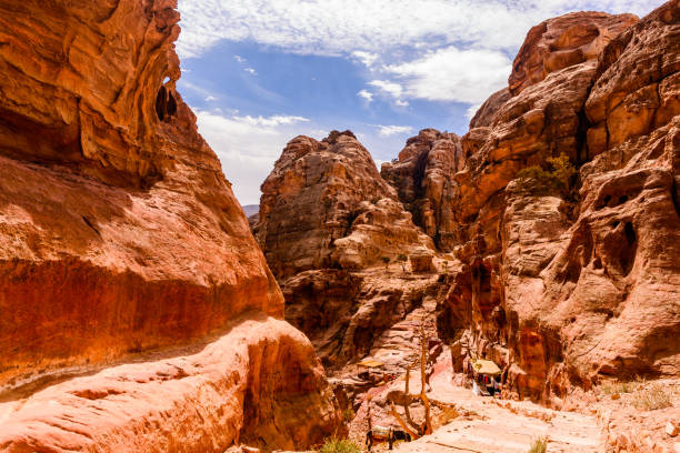 istock The Red Rose City - Petra 1194763316
