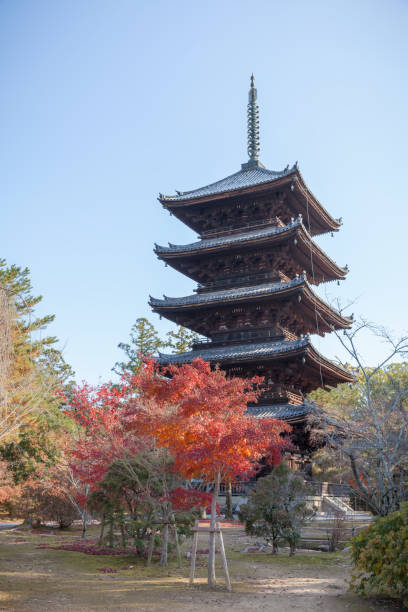 Five-storied pagoda of Ninnaji temple Kyoto, Japan - December 4 2019: Five-storied pagoda with fall foliage in Ninnaji temple heian period stock pictures, royalty-free photos & images