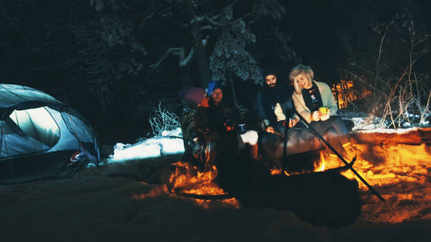 istock Four hipsters camping on mountain 1194767173