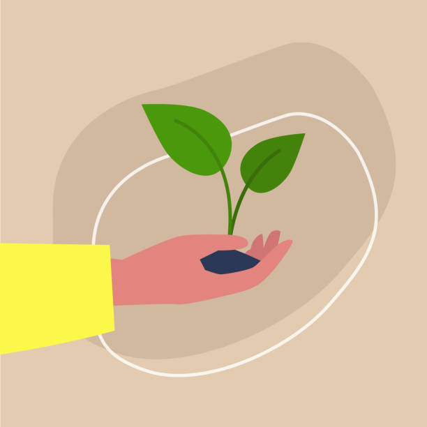 Go green, light-skinned hand holding a plant sprout, sustainability and responsibility, eco friendly behaviour Go green, light-skinned hand holding a plant sprout, sustainability and responsibility, eco friendly behaviour zero waste illustrations stock illustrations