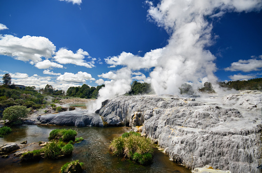 Geothermal area in Rotorua - Te Puia