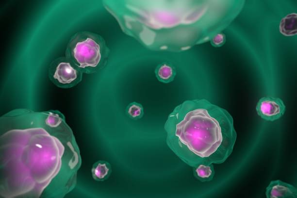 3d rendering illustration. embryonic stem cells ,cellular therapy and regenerative. biotechnology contaminated blood , infection , disease concept - cela imagens e fotografias de stock