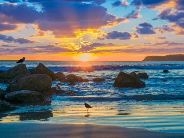 istock Clearing storm at Sunset Park Point Loma San Diego, CA 1194781868