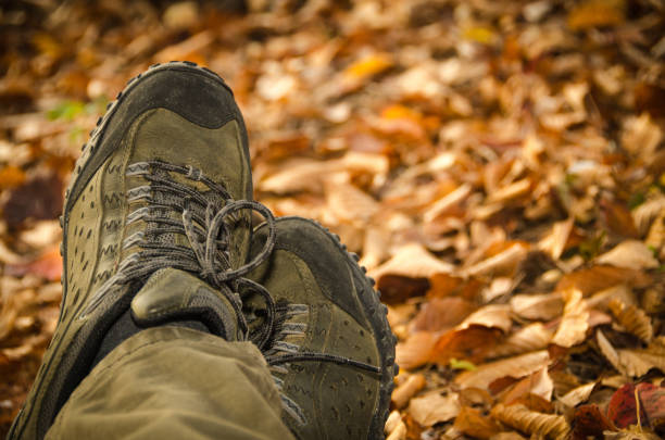 November 5. 2019. Republic of Korea.Fall and rest