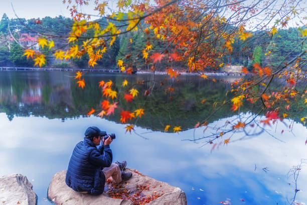Autumn maple leaves in Lushan
