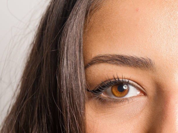 female eye and brow with natural makeup stock photo