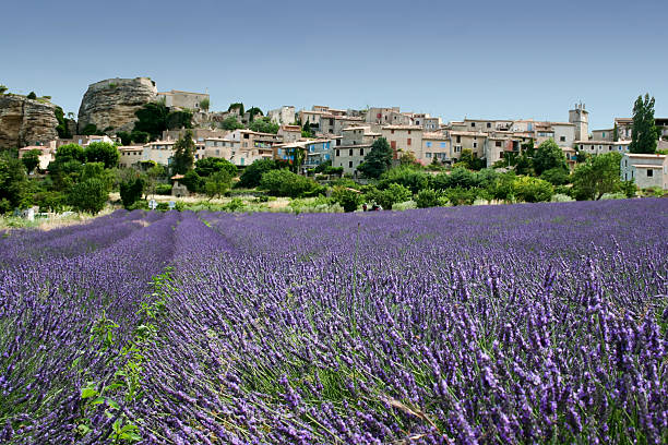 istock lavender fields old hill town provence france 119478508