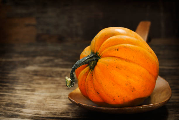 Stock photo showing close-up view of an autumnal, Halloween scene of an orange, miniature, ornamental gourd pictured against a purple background.
