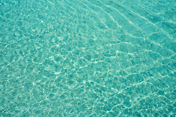 istock Sandy seabed under water. Background, sea theme, natural 1194795503