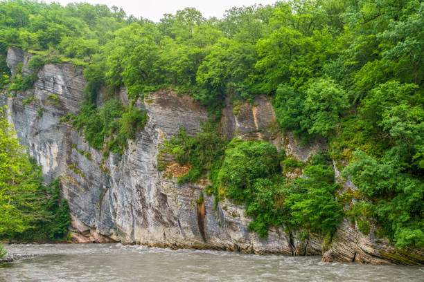 istock A steep rock cliff with a green forest over a mountain river on a cloudy day. 1194797014