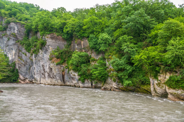 istock A steep rock cliff with a green forest over a mountain river on a cloudy day. 1194797024