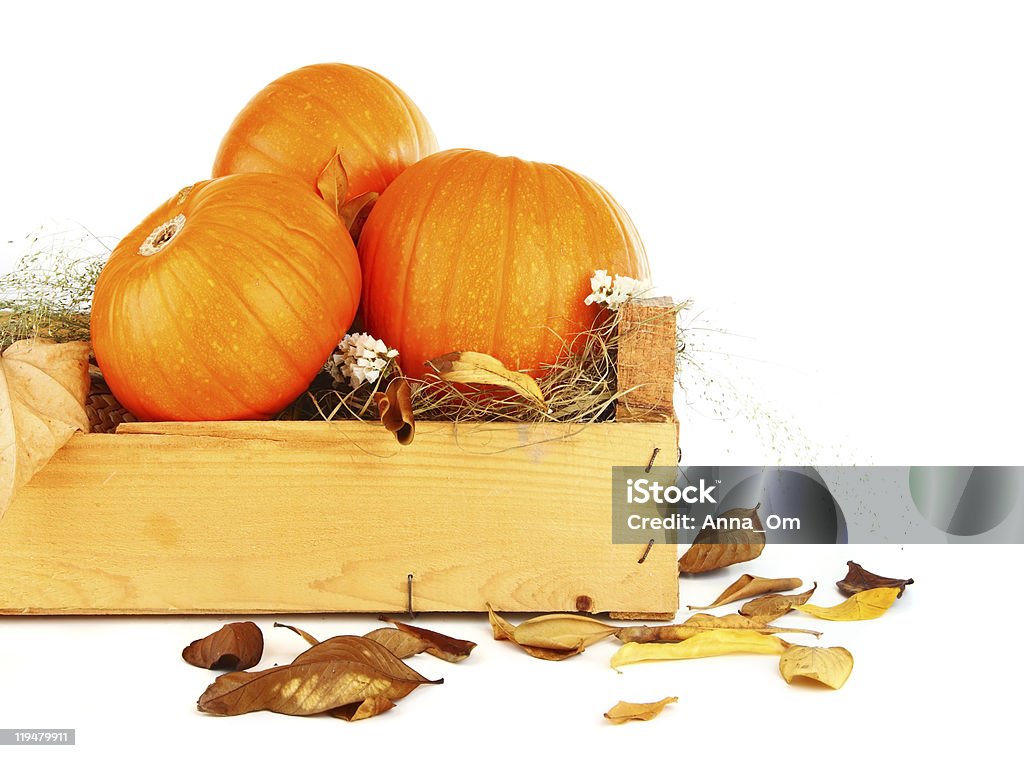 Pumpkins still life Pumpkins &amp; dry leaves isolated on white Autumn Stock Photo