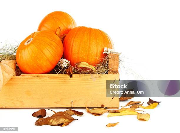 Pumpkins Still Life Stock Photo - Download Image Now - Autumn, Box - Container, Color Image