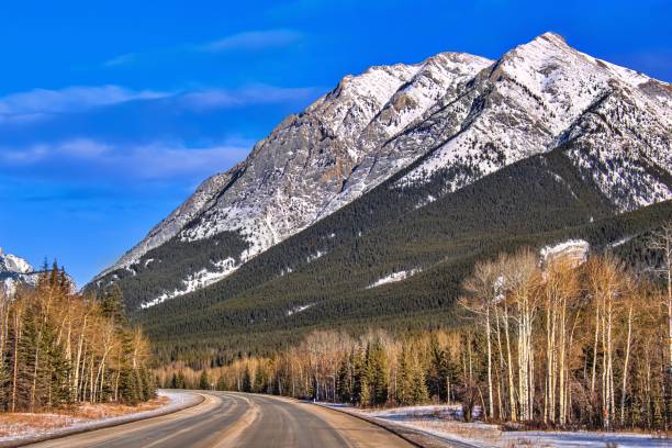istock Winding Road Through The Mountains 1194799583