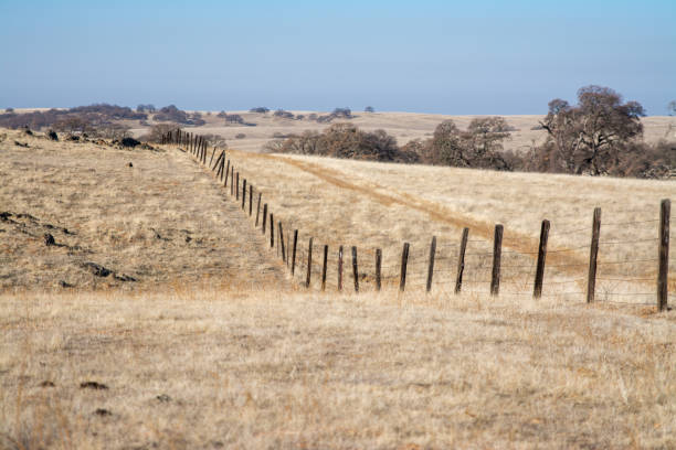 istock old wood post fence with wire cattle pasture 1194802217