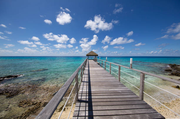 istock Pier leading to the sea 1194808702
