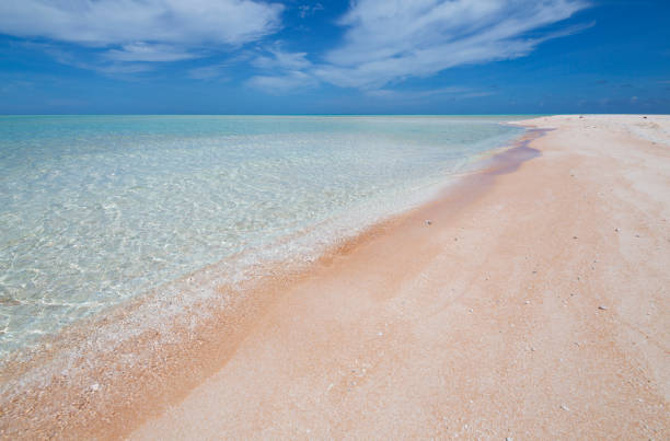 istock The most beautiful beach 1194811888