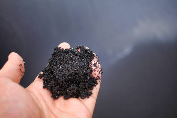 istock Black sand beach in Hawaii 1194815052
