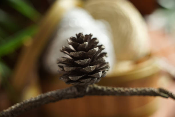 istock Christmas is coming to town. 1194815072