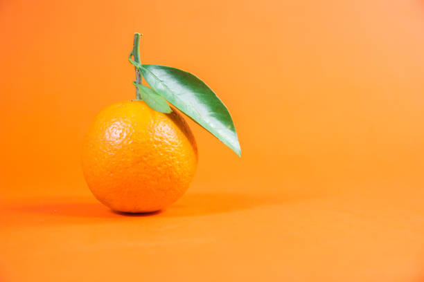 istock solo orange with fresh feeling leafs on orange background for graphic designs orange website business 1194815145