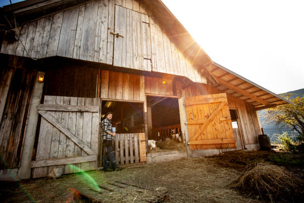 istock Farmer Standing by The Stable - Stock Photo 1194820916