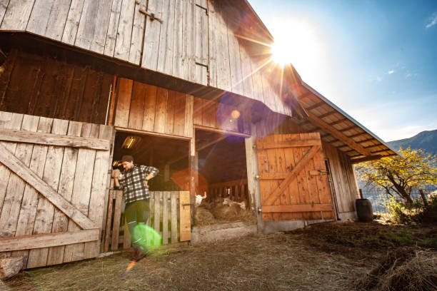 istock Farm Worker Standing In Front of Goat Stable and Barn 1194821447