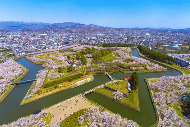 Photo of Goryokaku park in springtime cherry blossom season April and May, aerial view star shaped fort in sunny day