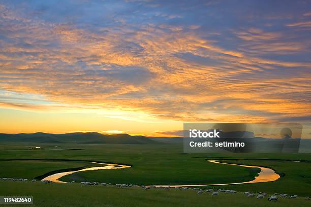 夕日の輝き - Horizonのストックフォトや画像を多数ご用意 - Horizon, くねくねした, アジア大陸