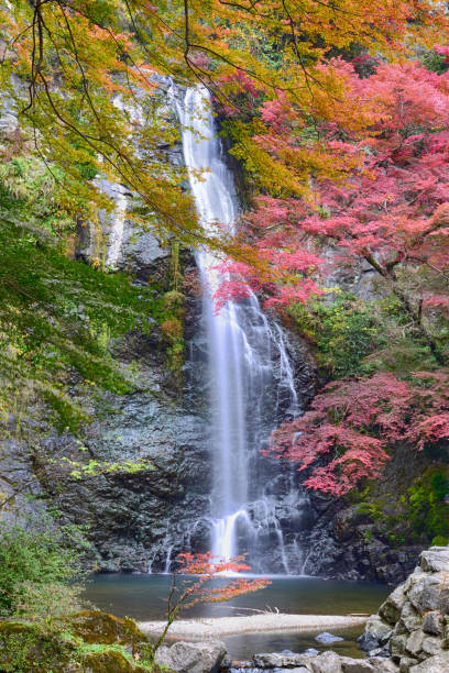 istock Minoo waterfall in Minoo Park, Osaka, Japan 1194828137