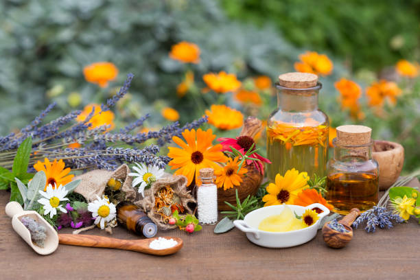 médecine homéopathique sur table en bois - homeopath photos et images de collection