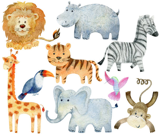 stockillustraties, clipart, cartoons en iconen met safari dieren set - watercolour jungle
