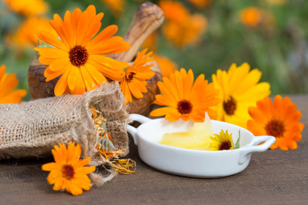 istock homeopathic medicine on wooden table 1194829265