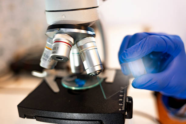 istock Microscope close-up shot in the laboratory 1194829271