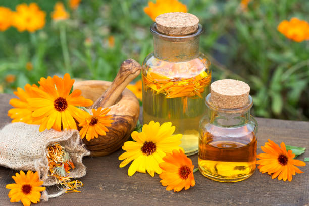 homemade marigold oil and marigold flowers stock photo