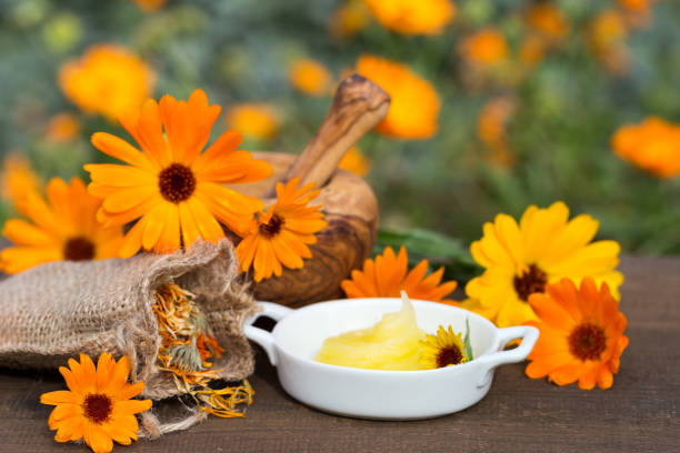 istock homeopathic medicine on wooden table 1194829358