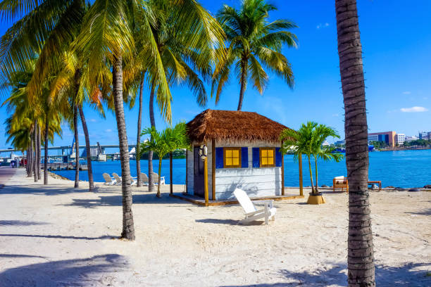 istock Early morning light in Bayfront Park Miami 1194830518