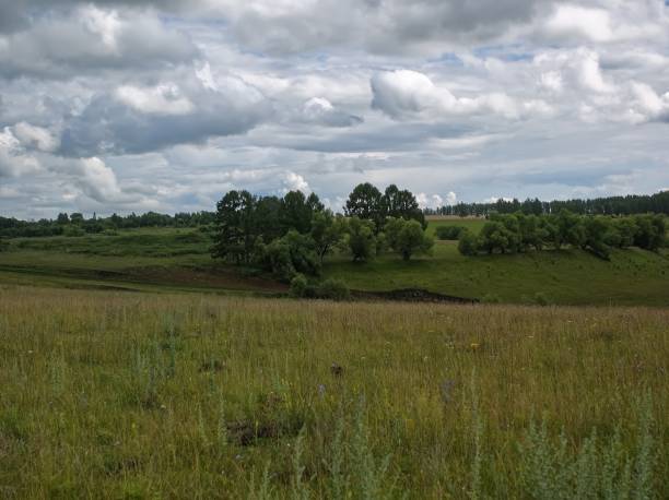 istock landscape of Central Russia on a cloudy day 1194832749