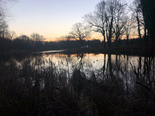istock Sunrise on the lake 1194837489