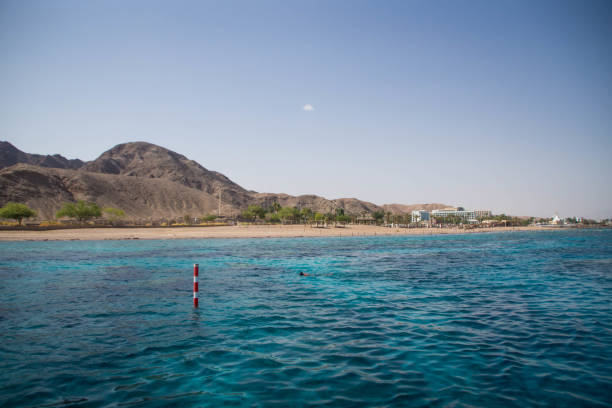 istock Red Sea, Eilat, Israel 1194837661