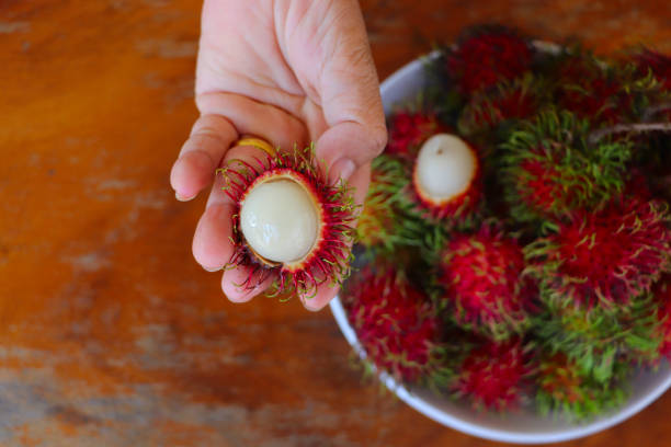 Rambutan fruit on the tree