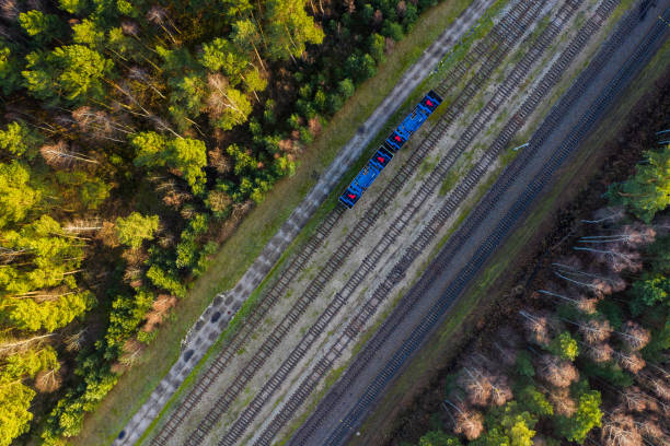 Railroad with wagons surrounded by forest, view from above.