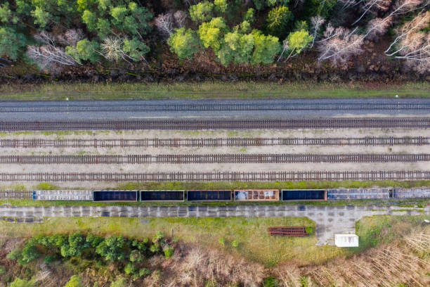 istock Aerial view of a railroad passing through the forest. 1194840627