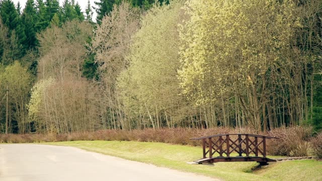 Spring the month of April, a wooden bridge across the ravine leads into the Park HD