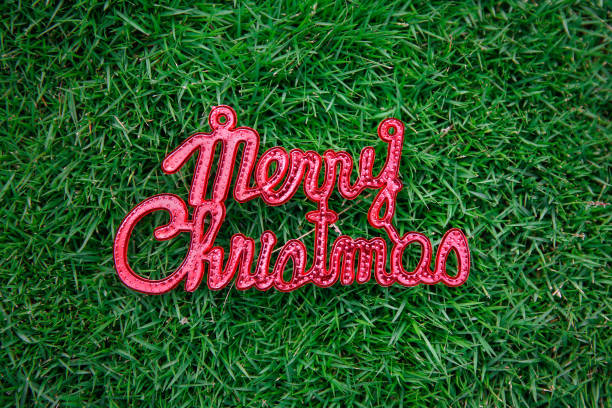 Merry Christmas red text sign on a green grass texture backgrounds